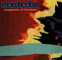 Fragments Of Freedom